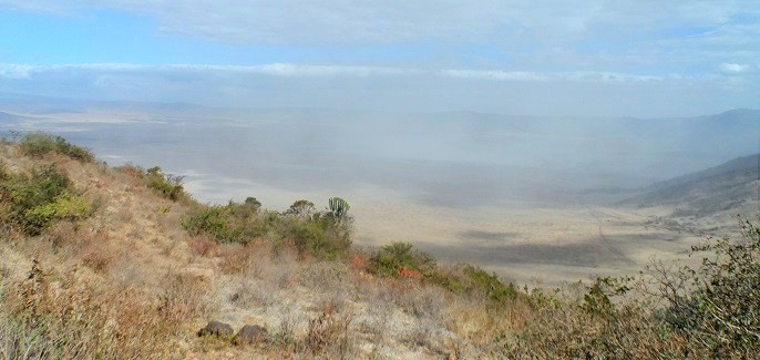 Ngorongoro Crater tour - wildlife tourism - maasai with animals Tanzania